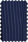 Striped Parliament Blue Suit