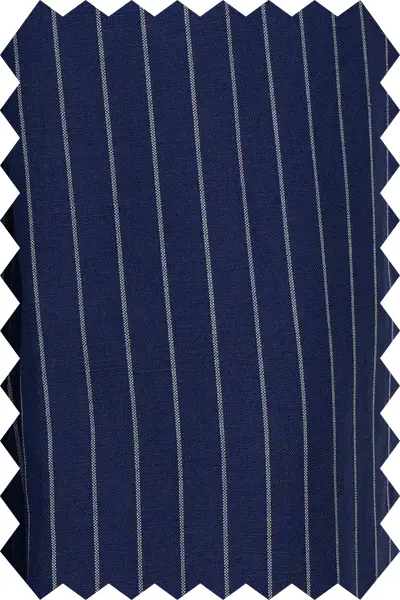 Striped Parliament Blue Suit