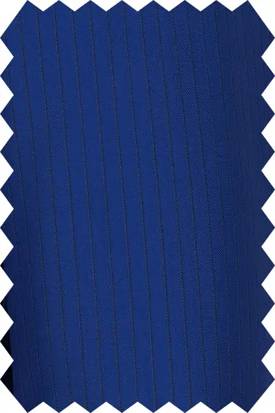 Striped Parliament Blue Suit