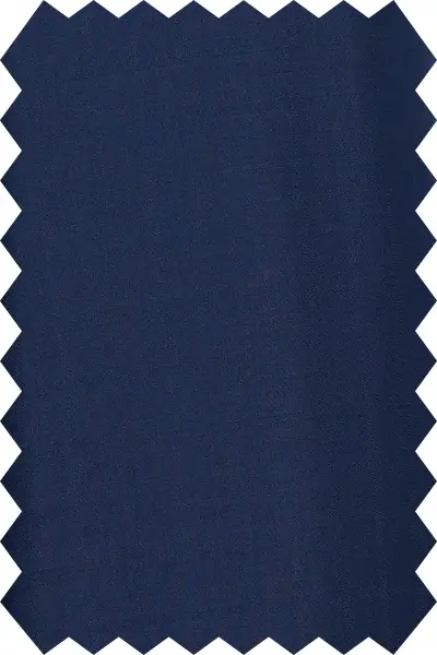 Parliament Blue